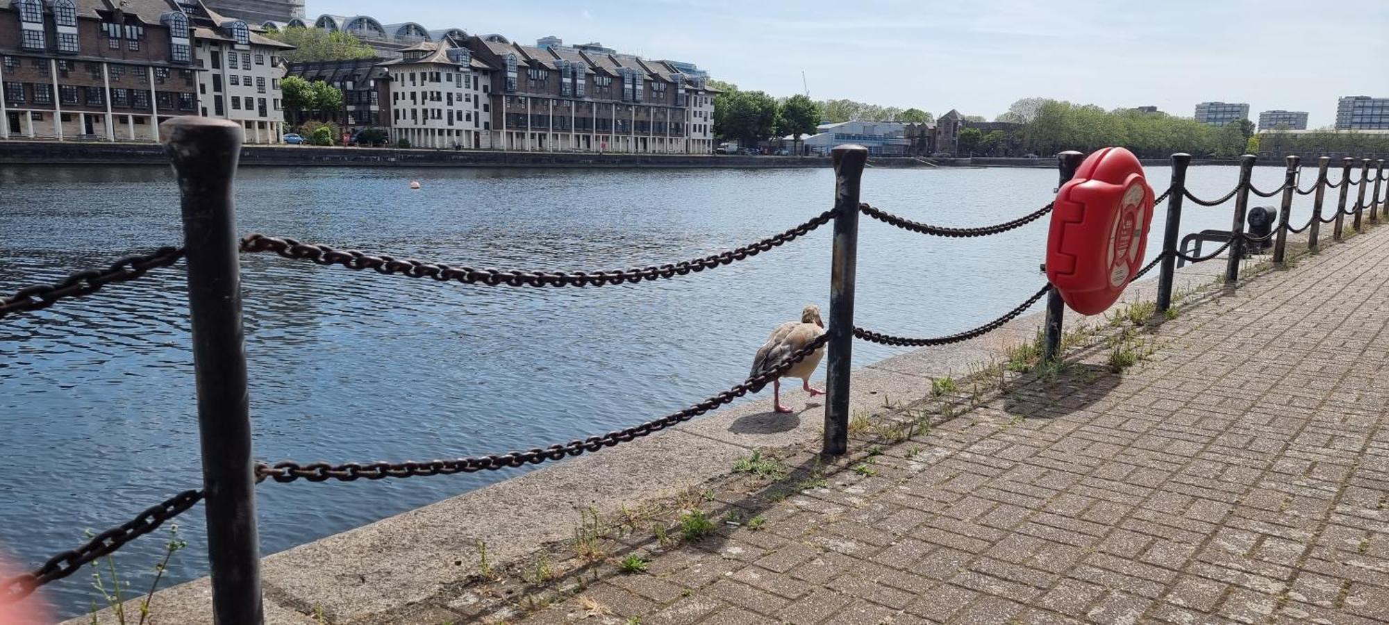 Riverside 1br With Easy Transport 20min To Centre Apartment *