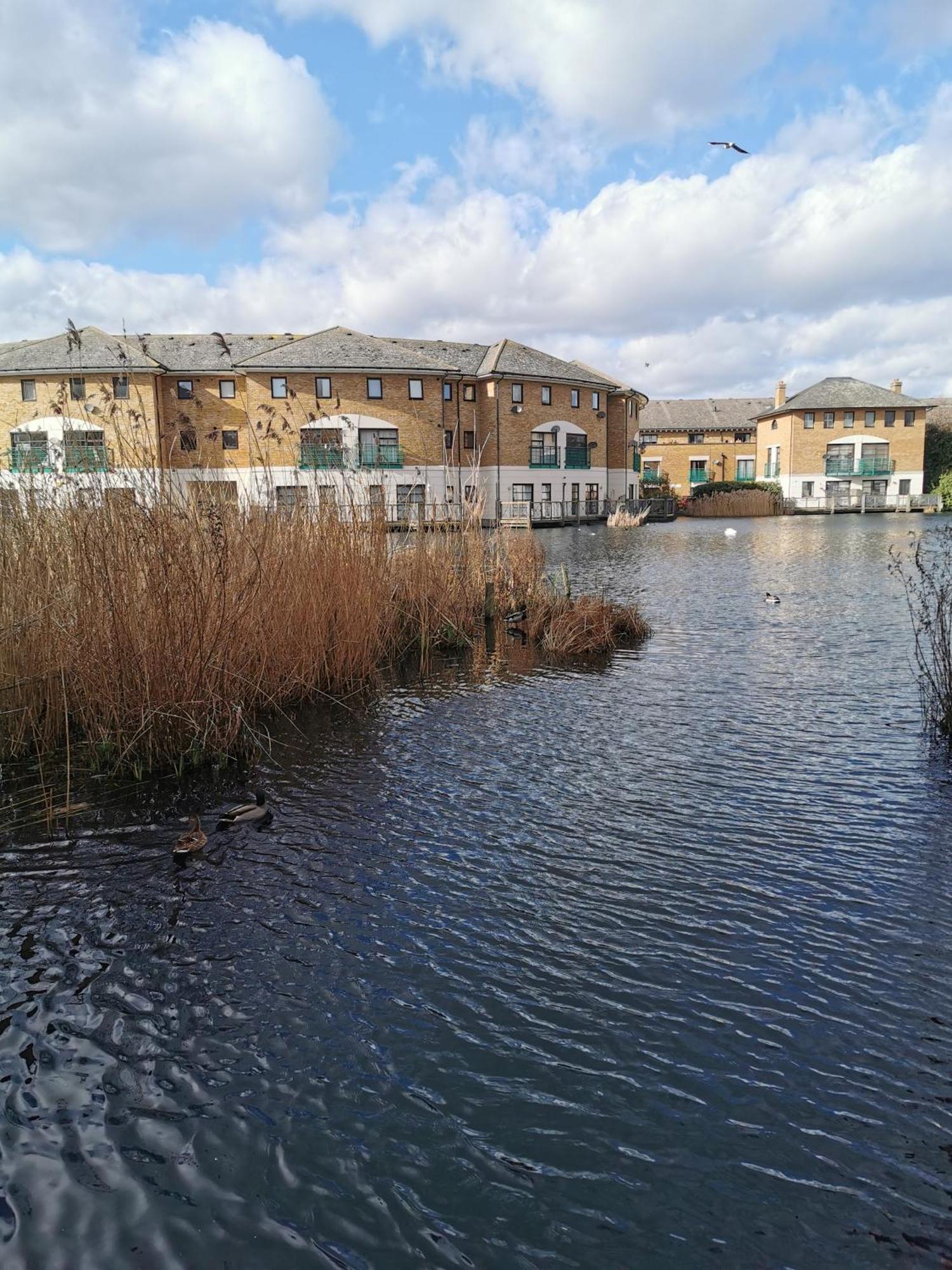 Apartment Riverside 1br With Easy Transport 20min To Centre *
